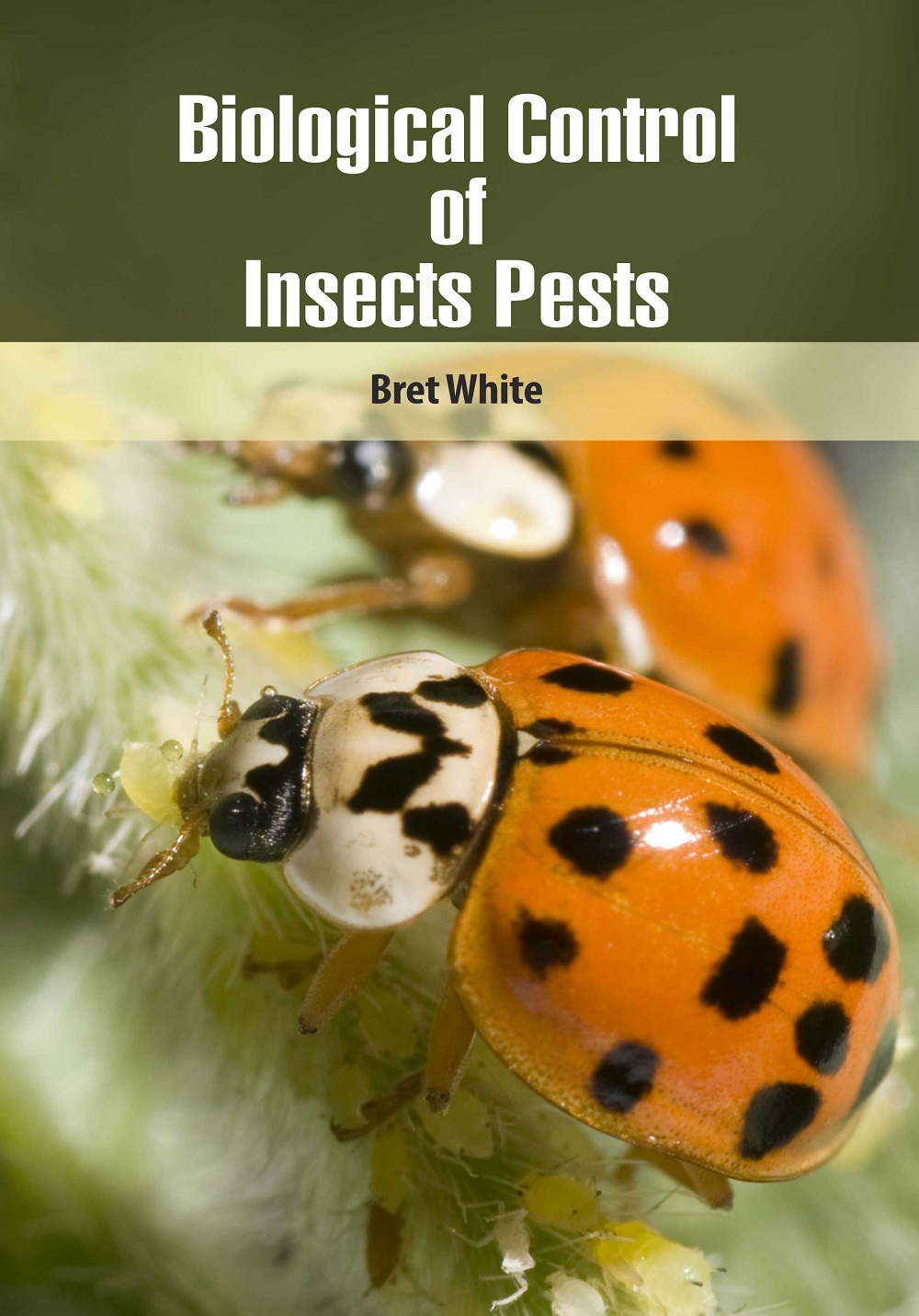 Biological Control of Insects Pests